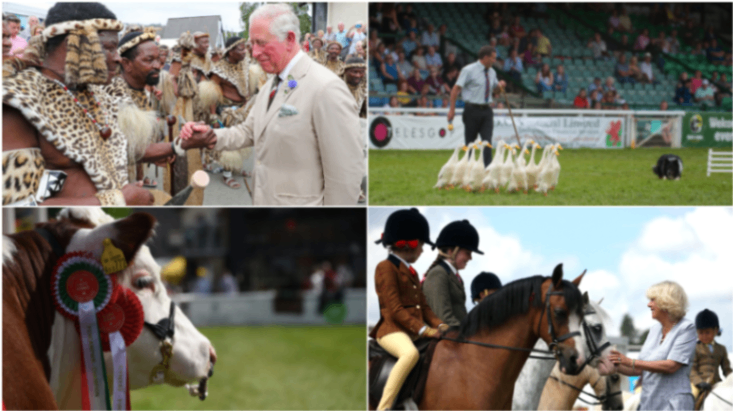 حدث Royal Welsh Show