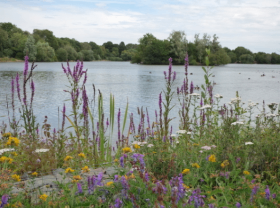 مسیرهای پیاده‌روی با مناظر خیره‌کننده در نزدیکی لندن