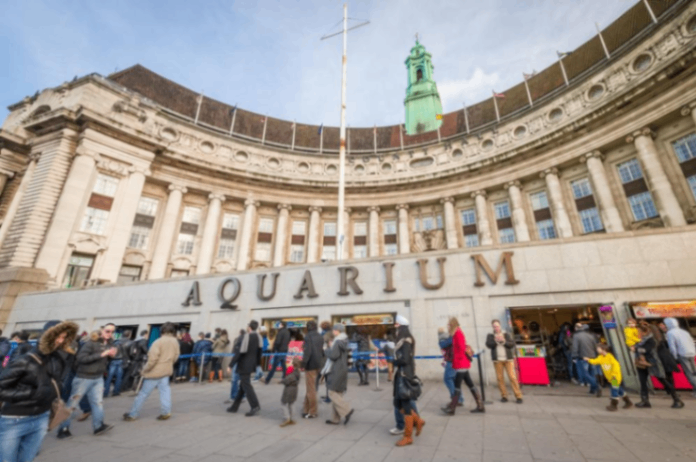 ورود رایگان به London Aquarum 