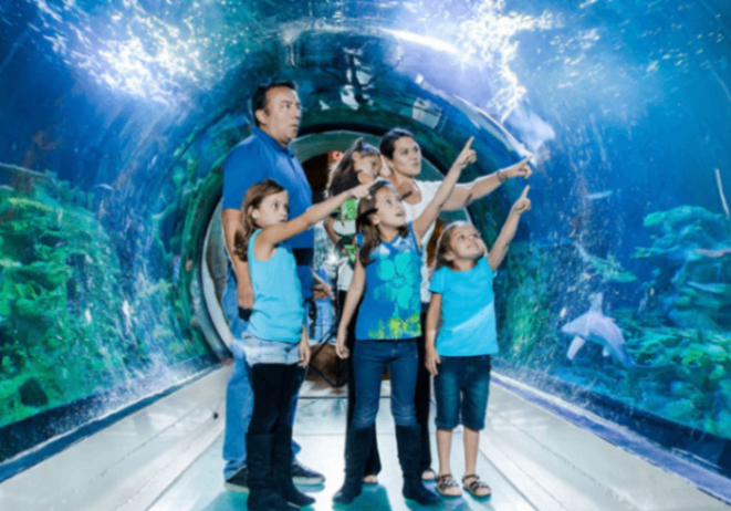 دخول مجاني إلى London Aquarum