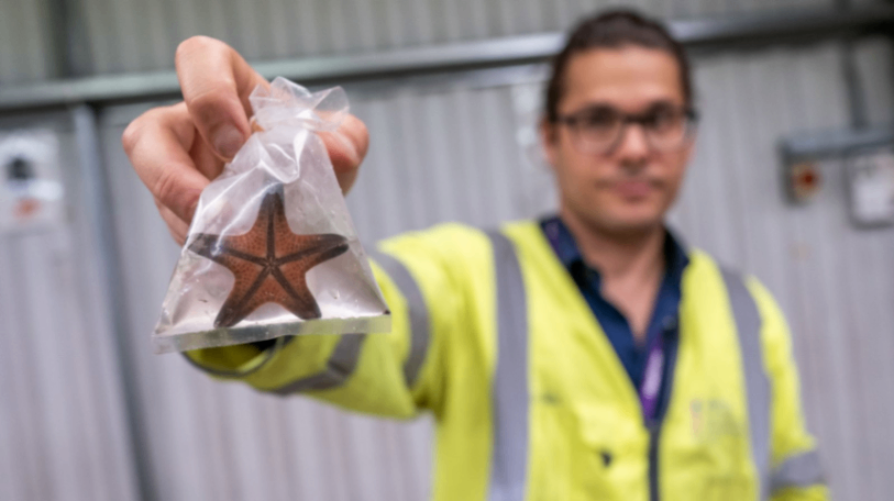 ورود هزاران حیوان به بریتانیا از طریق فرودگاه Heathrow 