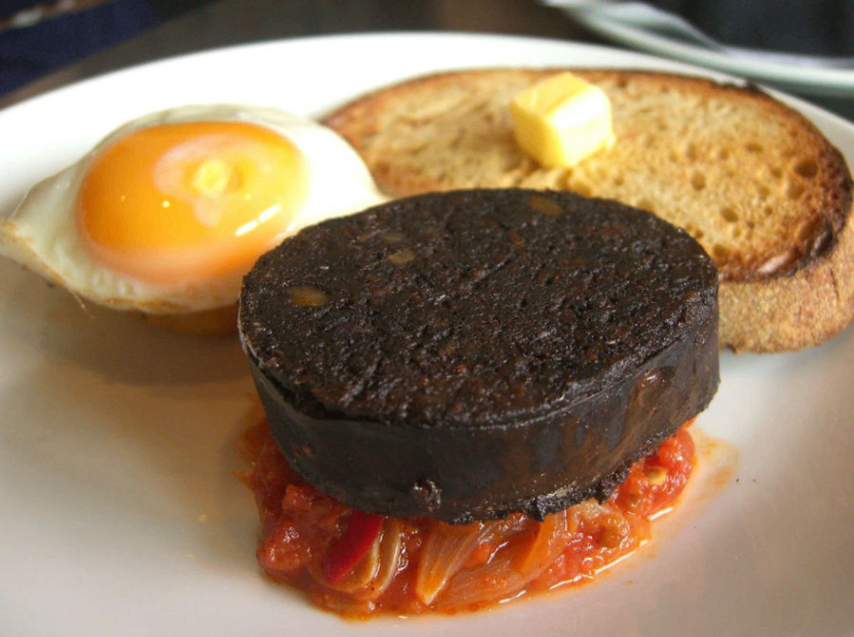  اندريا سيليست تطل ، عبر تطبيق تيك توك، على الاختلافات الثقافية بين بريطانيا وأمريكا 