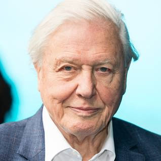 استمرار المعارضة لخطة ULEZ