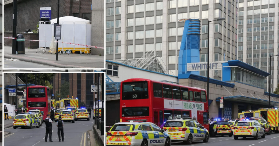 تعرضت فتاة تبلغ من العمر 15 عامًا للطعن حتى الموت وهي في طريقها إلى المدرسة في Croydon