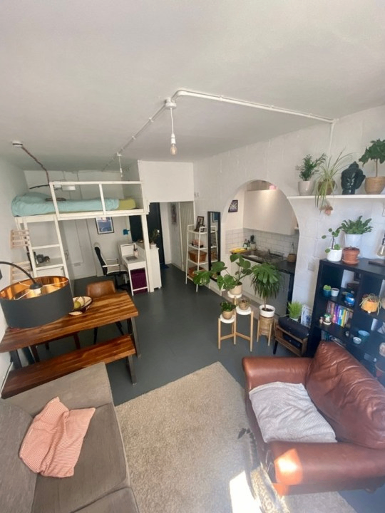 استئجار وسقي الزهور