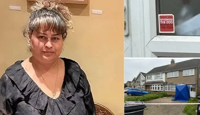 یک زن در شرق لندن توسط دو‌ سگ بولداگ خود کشته شد 