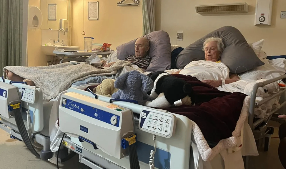 رفاقت تا آخر حیات: بازگوی داستان دو 'همدل' که روزهای پایانی زندگی خود را کنار یکدیگر سپری کردند